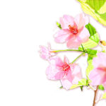 優しさとは相手の反応を見てかかわろうとすること