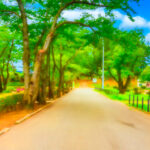 中学校では将来の夢のために道を狭めることに力を入れる！？