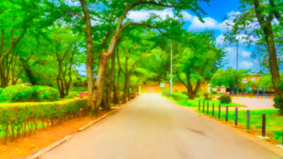 中学校では将来の夢のために道を狭めることに力を入れる！？