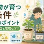中学技術 生物育成 植物が元気に育つ条件とは？枯れる原因と栽培の基本を中学生向けに解説