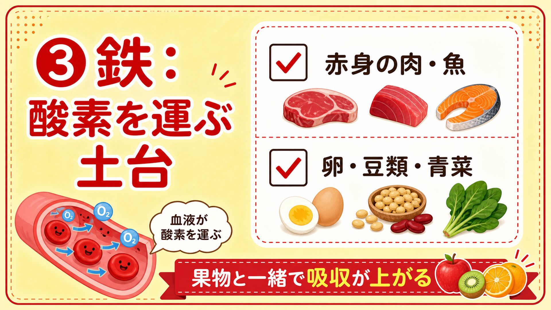 鉄は酸素を運ぶ土台