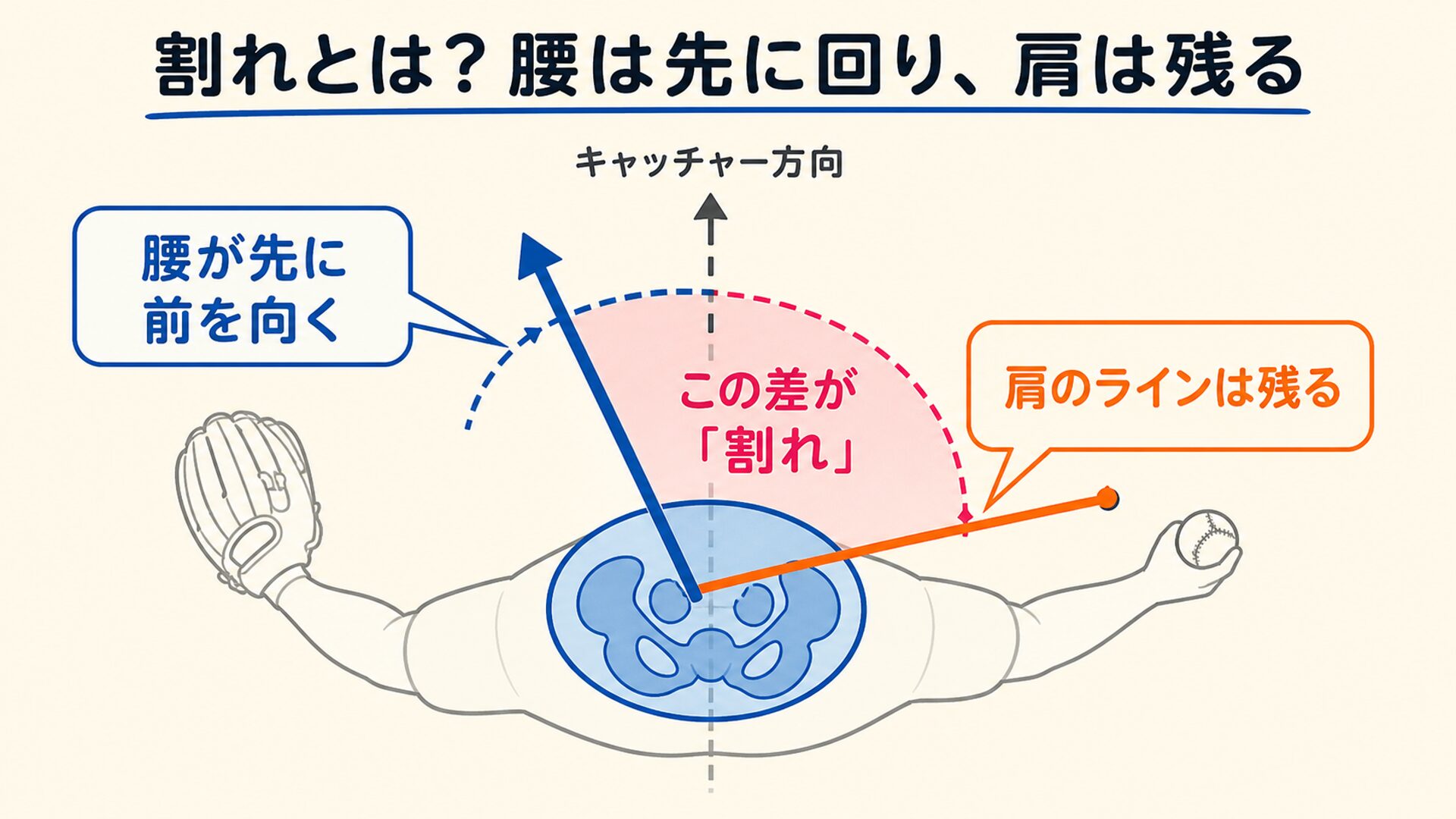 割れとは？腰は先に回り、肩は残るの図解