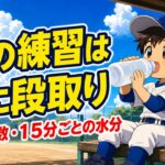 【親のための野球】夏の練習、親が先に決める３つの段取り｜暑さ指数・１５分ごとの水分・止めるサイン