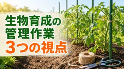 【中学技術】生物育成の管理作業をわかりやすく解説｜間引き・支柱と誘引・わき芽かきの3つ