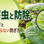 中学技術【病害虫と防除】害虫・病気の見分け方と農薬に頼らない防ぎ方をわかりやすく解説