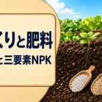 中学技術【土づくりと肥料】よい土の条件と肥料の三要素をわかりやすく解説