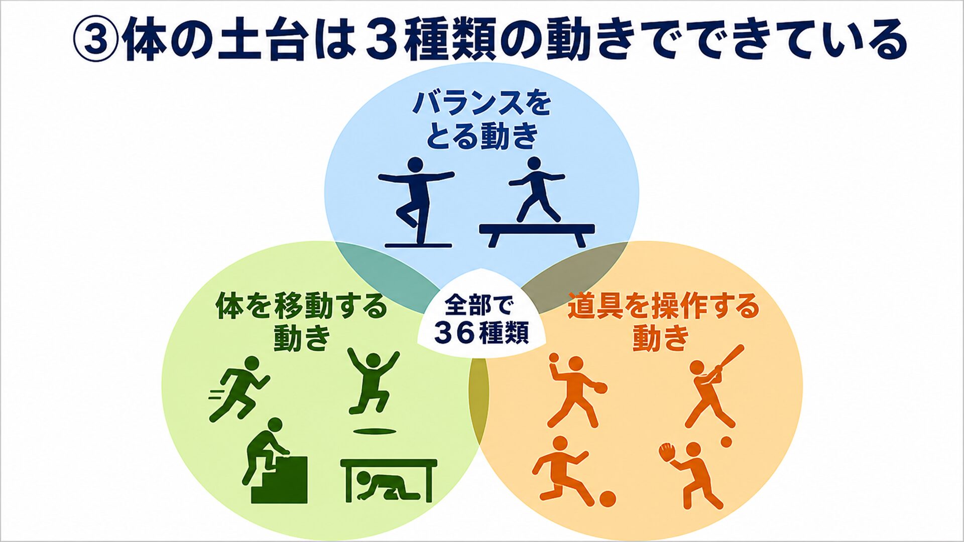 ③体の土台は3種類の動きでできている