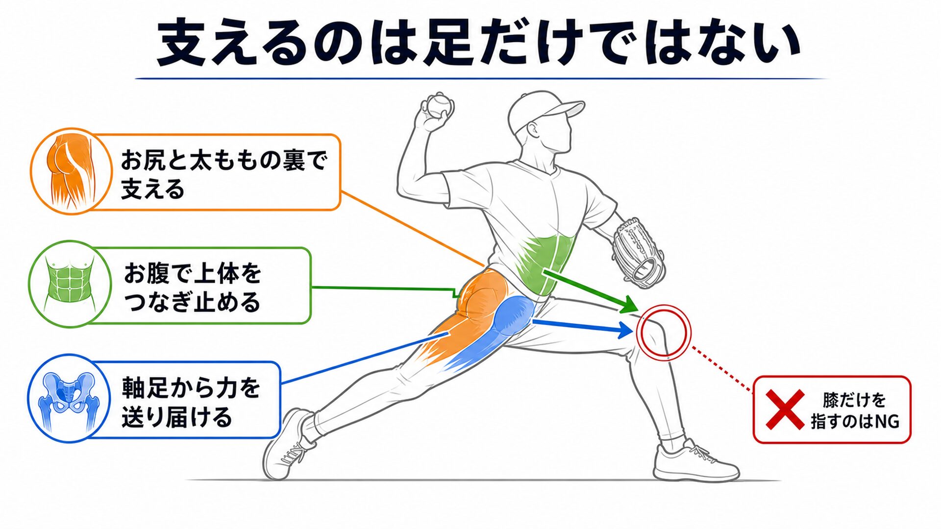 お尻・太ももの裏・お腹・軸足から前の膝へ力が集まることを示す図解