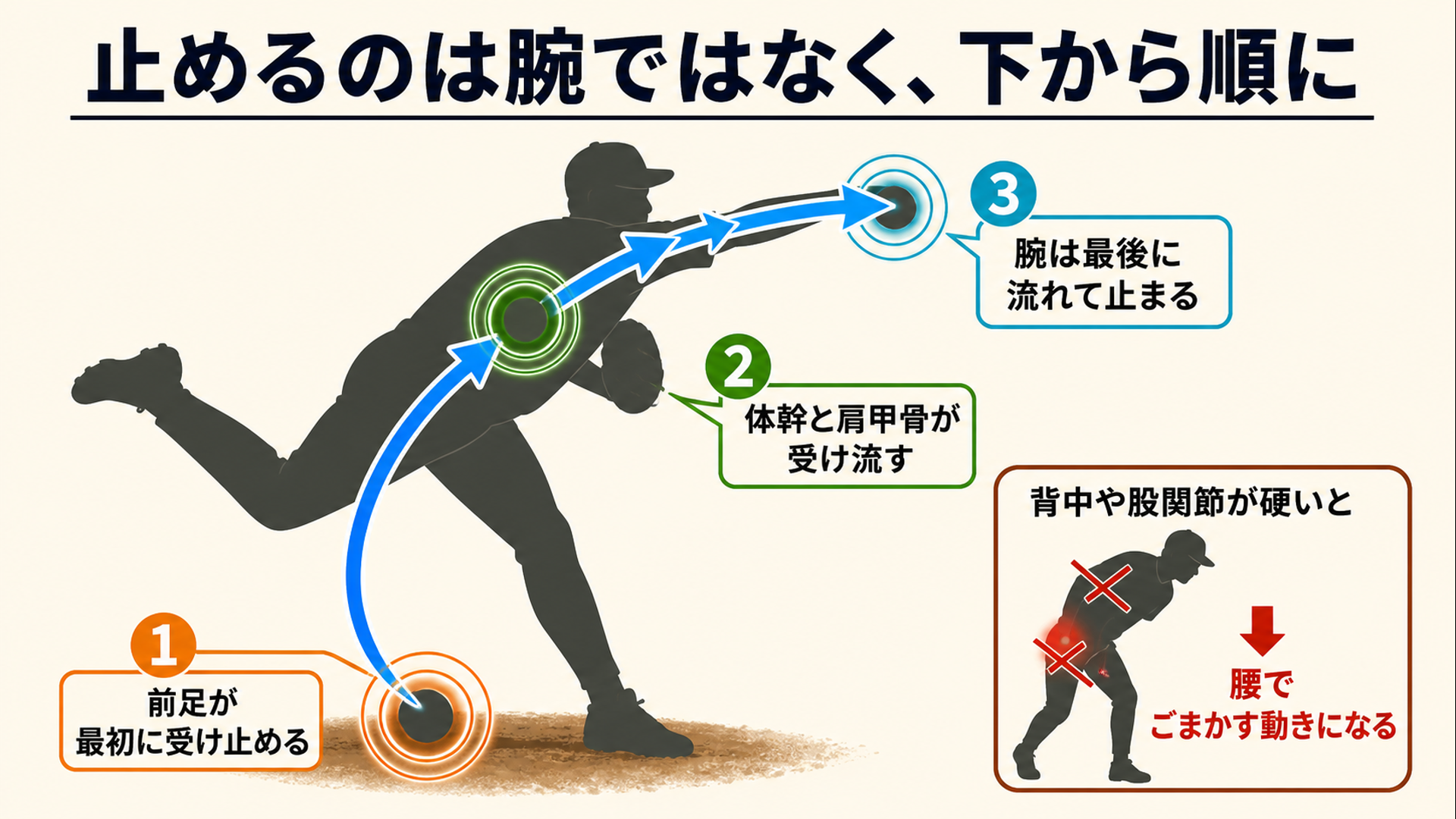 前足・体幹と肩甲骨・腕の順に勢いを受け止める体の連鎖図
