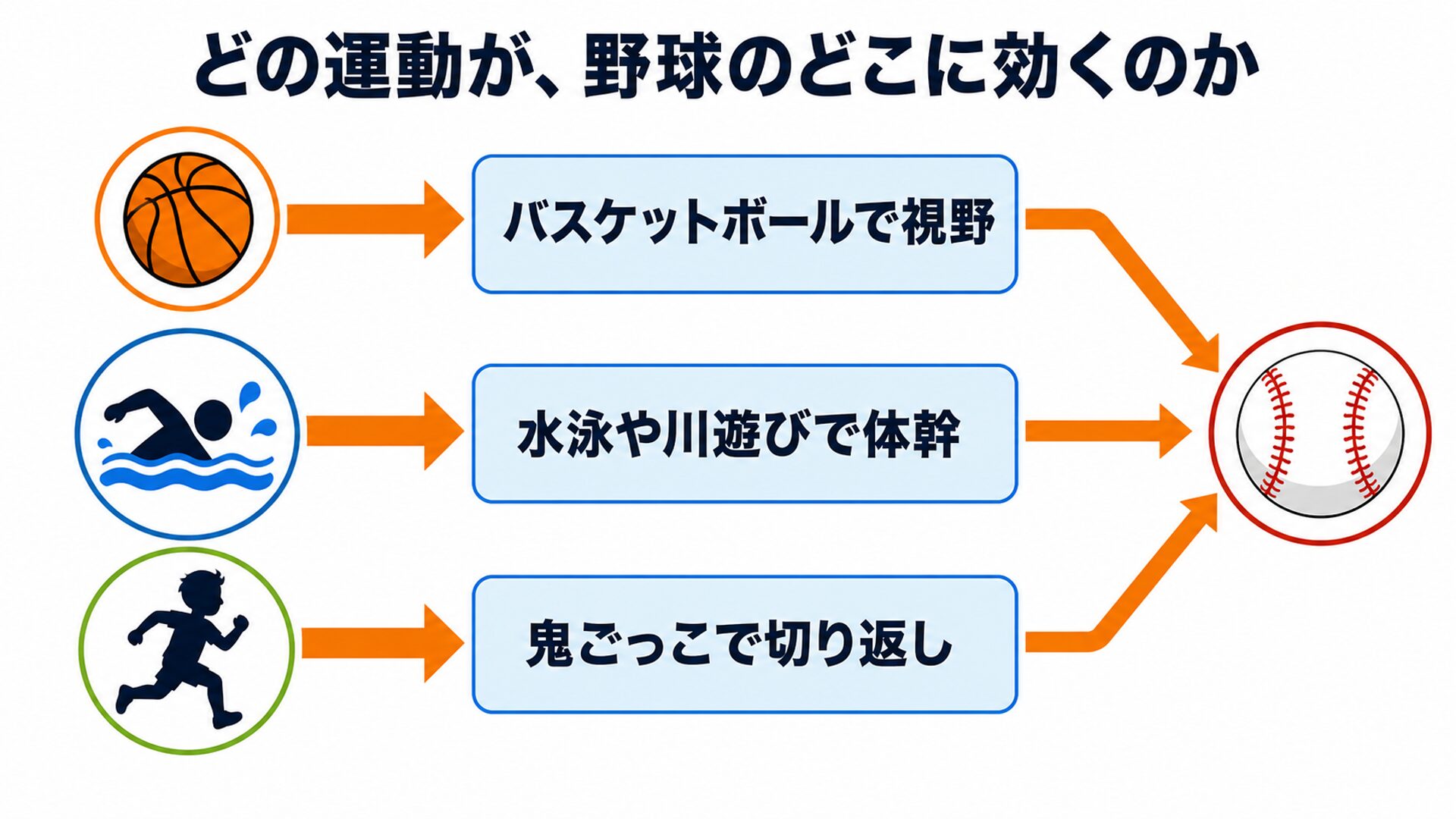どの運動が野球のどこに効くのか