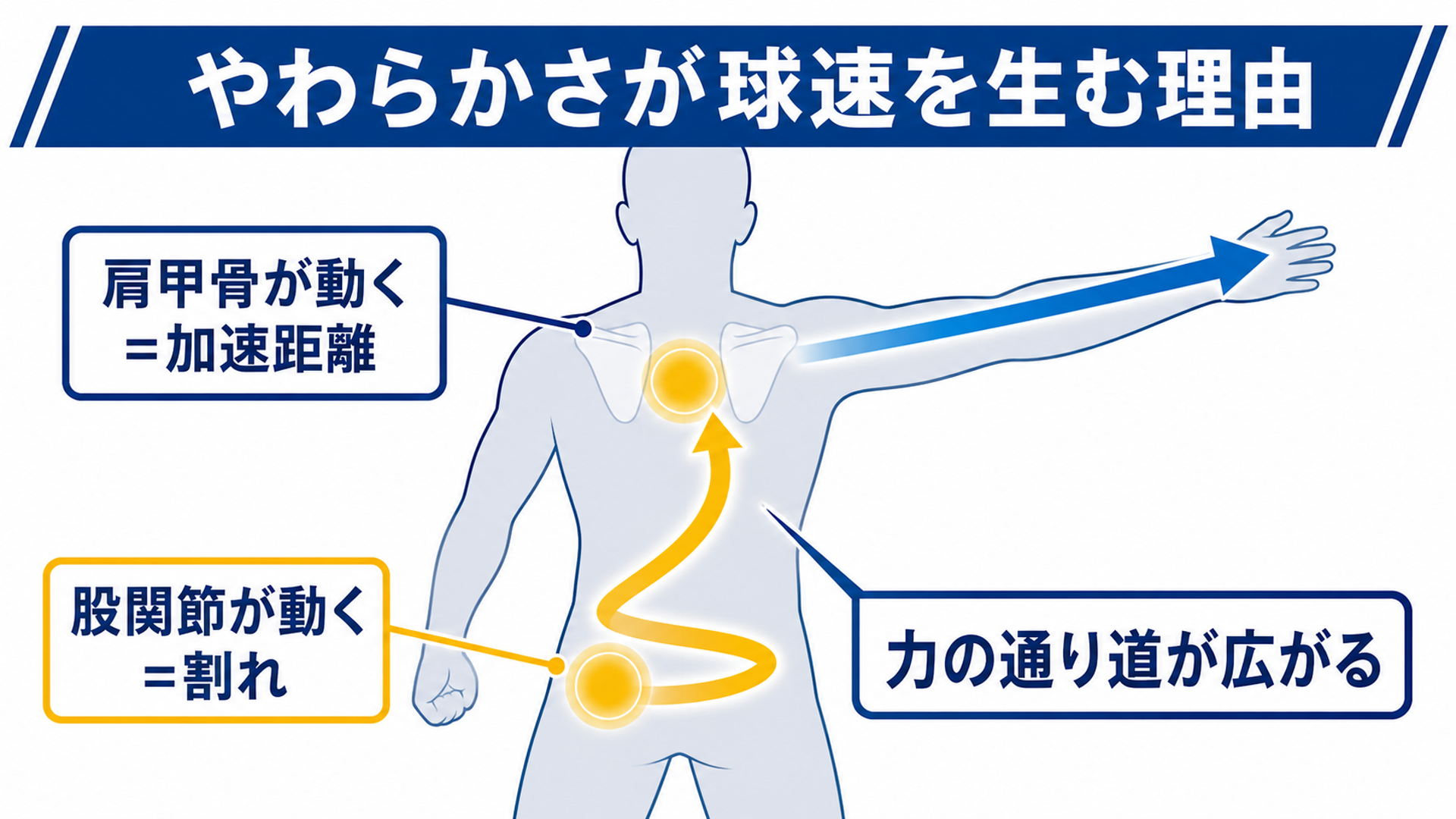 やわらかさが球速を生む理由