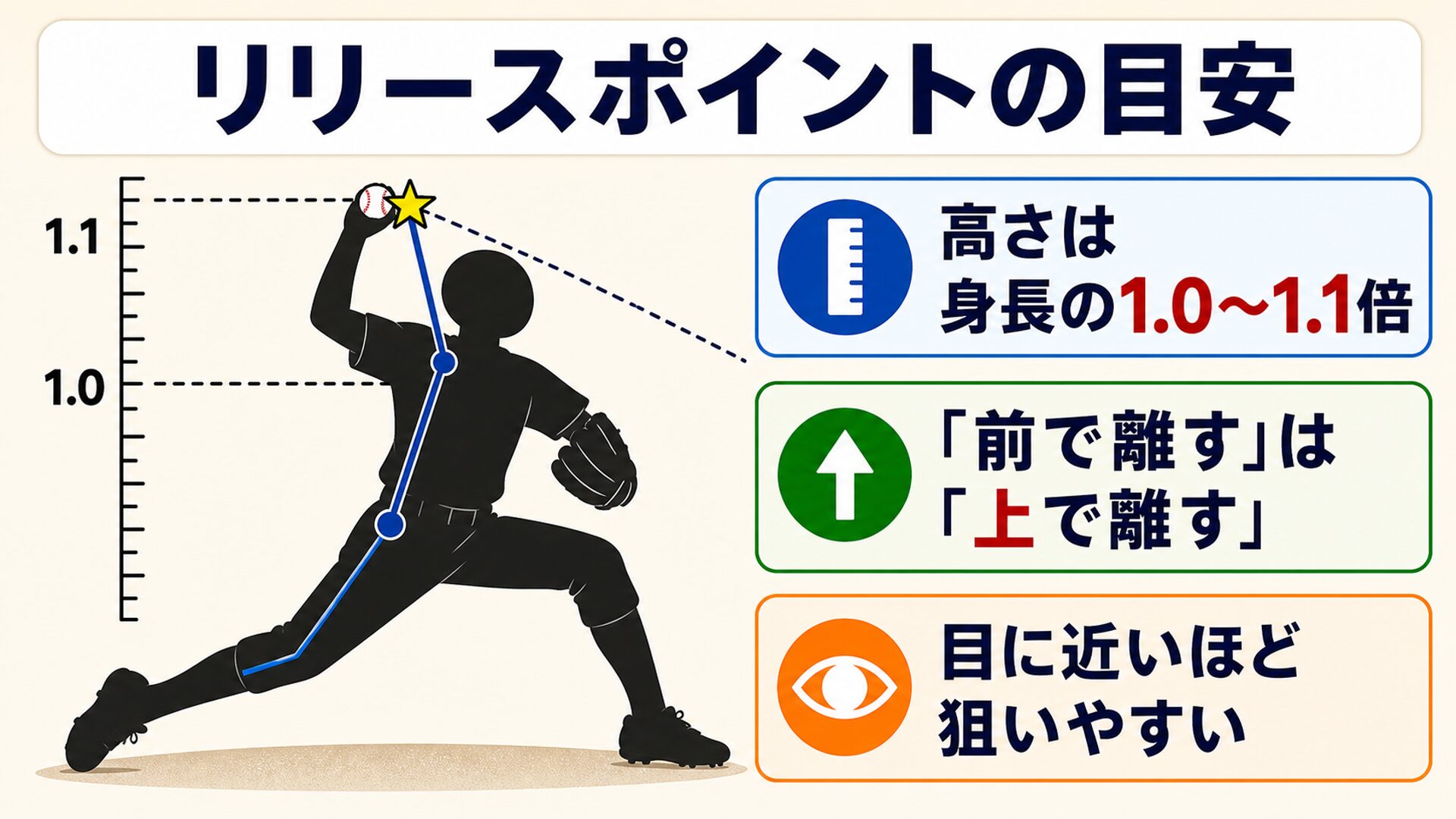 リリースの高さの目安を示す人体側面図
