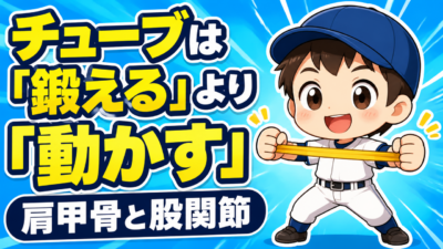 【野球のコツ】ゴムチューブは「強くする道具」ではなく「動かす道具」｜肩甲骨と股関節がやわらかくなる５分メニュー｜プロ野球選手への道