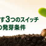 中学技術【種子の発芽条件】水・温度・酸素の3つと発芽率の求め方をわかりやすく解説