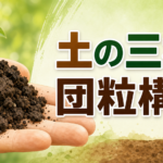 中学技術【生物育成】土の三相と団粒構造｜よい土の条件をわかりやすく解説