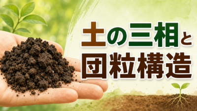 中学技術【生物育成】土の三相と団粒構造｜よい土の条件をわかりやすく解説