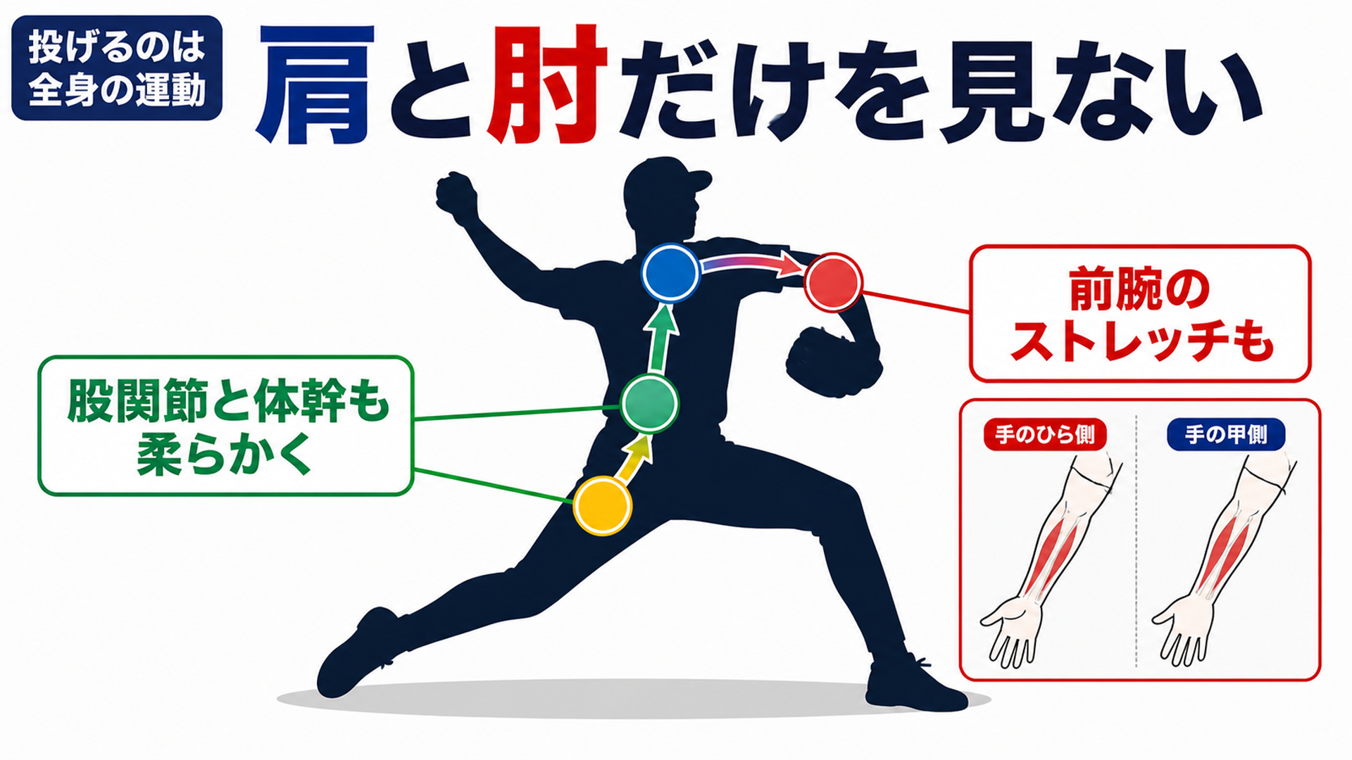 肩と肘だけを見ない