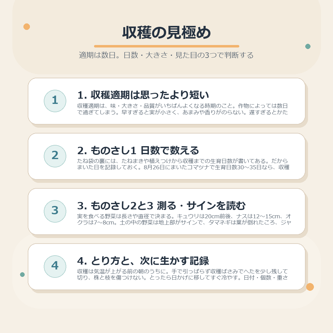 収穫適期の考え方、日数・大きさ・見た目の3つのものさし、とり方と記録の残し方をまとめた図