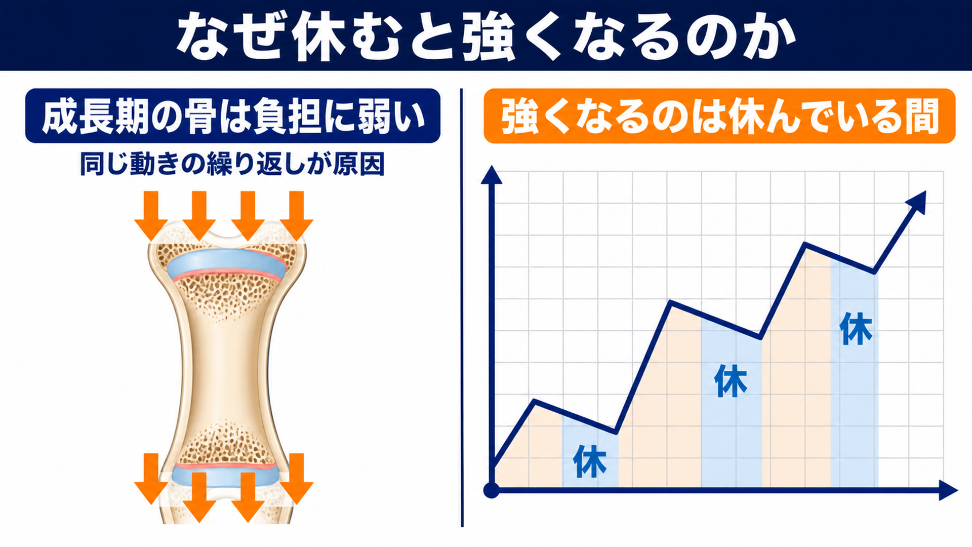 なぜ休むと強くなるのか
