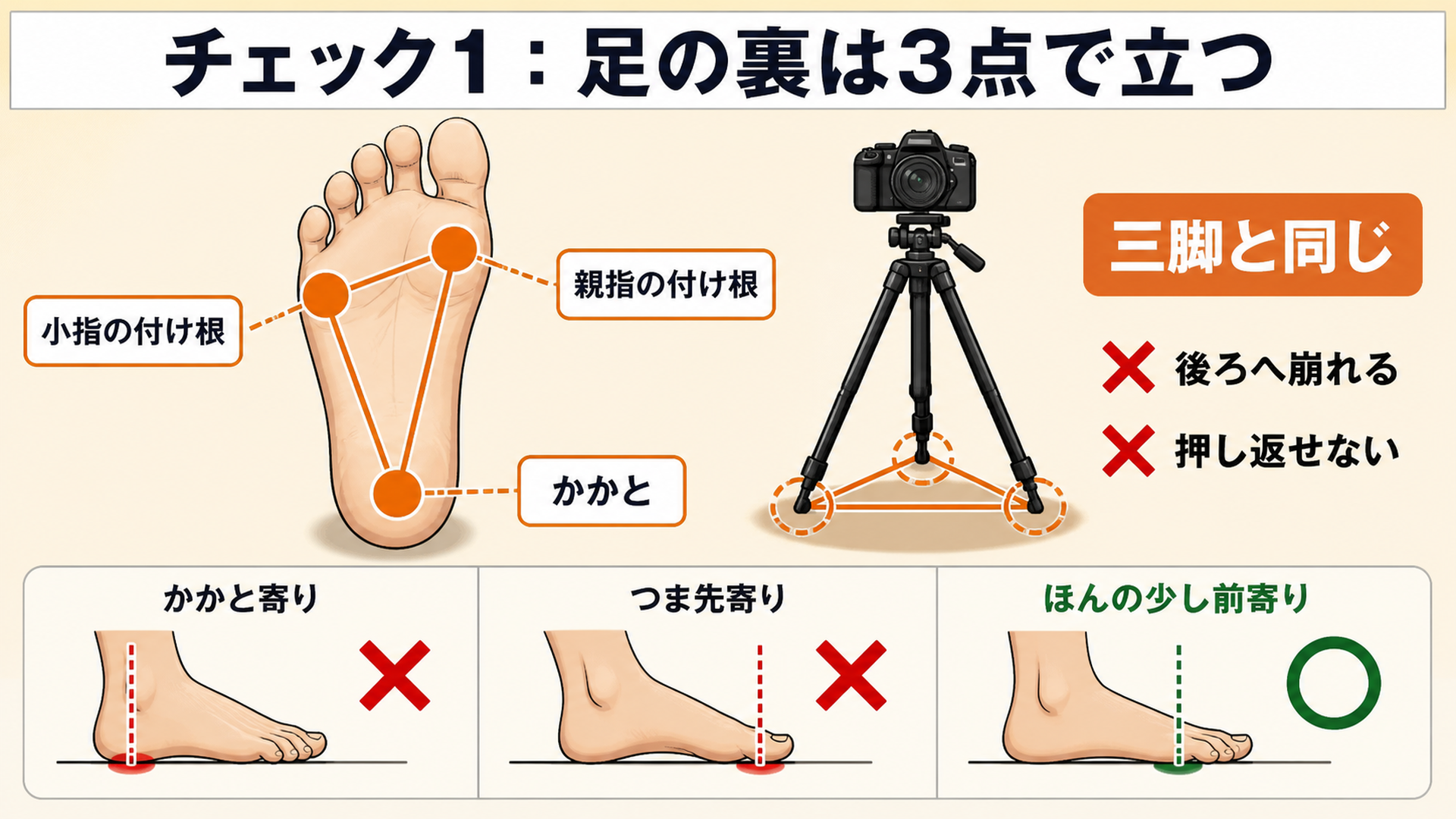 かかと・親指の付け根・小指の付け根の3点で立つことを示した足裏の図