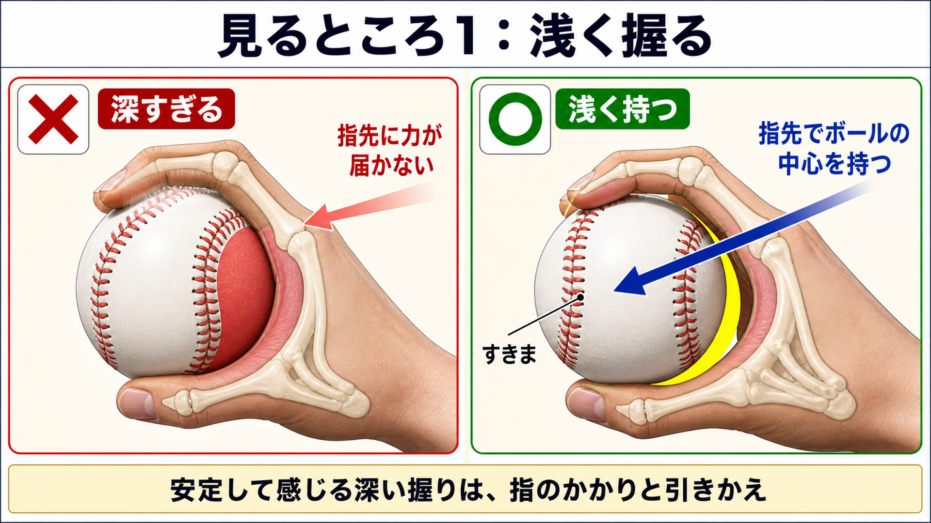 深い握りと浅い握りを比べた断面図