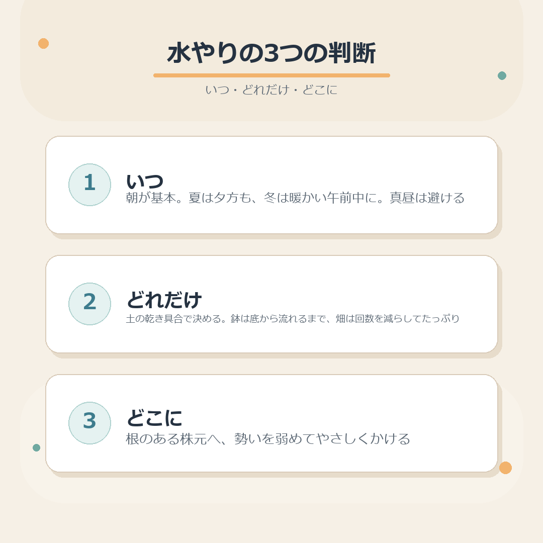 水やりの3つの判断（いつ・どれだけ・どこに）をまとめた図