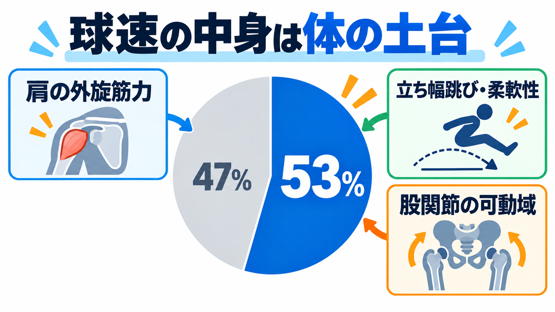 球速の中身は体の土台