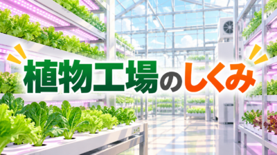 植物工場のしくみとは？光・温度・CO2を管理する技術を中学技術でわかりやすく解説