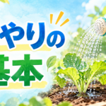 水やりの基本｜いつ・どれだけ・どこに？鉢と畑のちがいを中学技術で解説