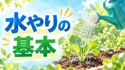 水やりの基本｜いつ・どれだけ・どこに？鉢と畑のちがいを中学技術で解説