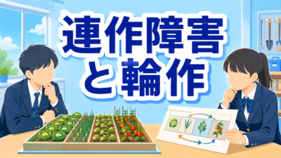 中学技術【連作障害と輪作】同じ場所で同じ野菜を作れない理由をわかりやすく解説