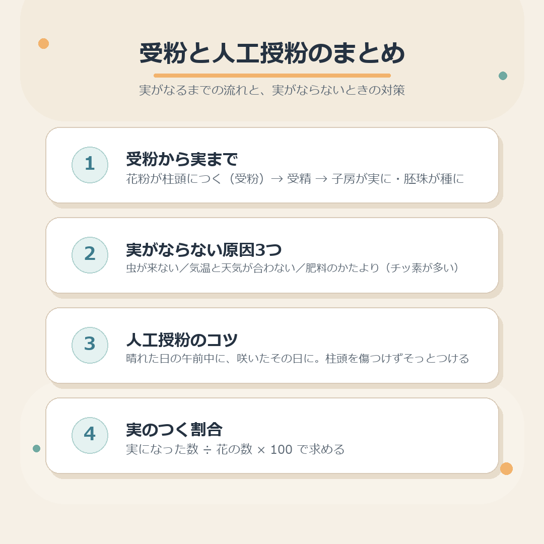 受粉から実ができるまでの流れと、実がならない原因3つ、人工授粉のまとめ