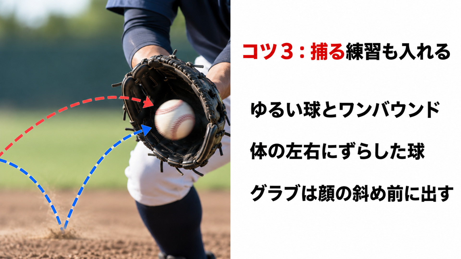 コツ３：捕る練習も入れる
