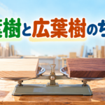 【中学技術】針葉樹と広葉樹のちがい｜特徴・用途・使い分けを3つで整理