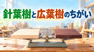 【中学技術】針葉樹と広葉樹のちがい｜特徴・用途・使い分けを3つで整理