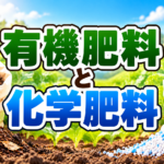 有機肥料と化学肥料の違いと使い分け｜中学技術のテスト対策3つ