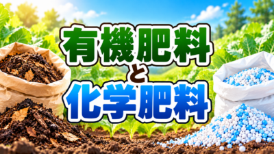有機肥料と化学肥料の違いと使い分け｜中学技術のテスト対策3つ