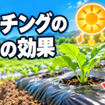 【中学技術】マルチングとは？効果3つ・色の使い分け・張り方