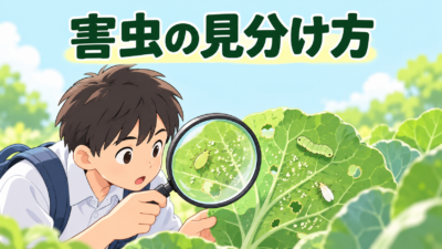 【中学技術】害虫の見分け方3種｜アブラムシ・ヨトウムシ・ハダニ