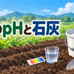 【中学技術】土の酸度pHと石灰のまき方｜テスト対策に出る要点と計算