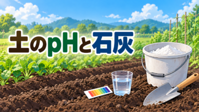 【中学技術】土の酸度pHと石灰のまき方｜テスト対策に出る要点と計算