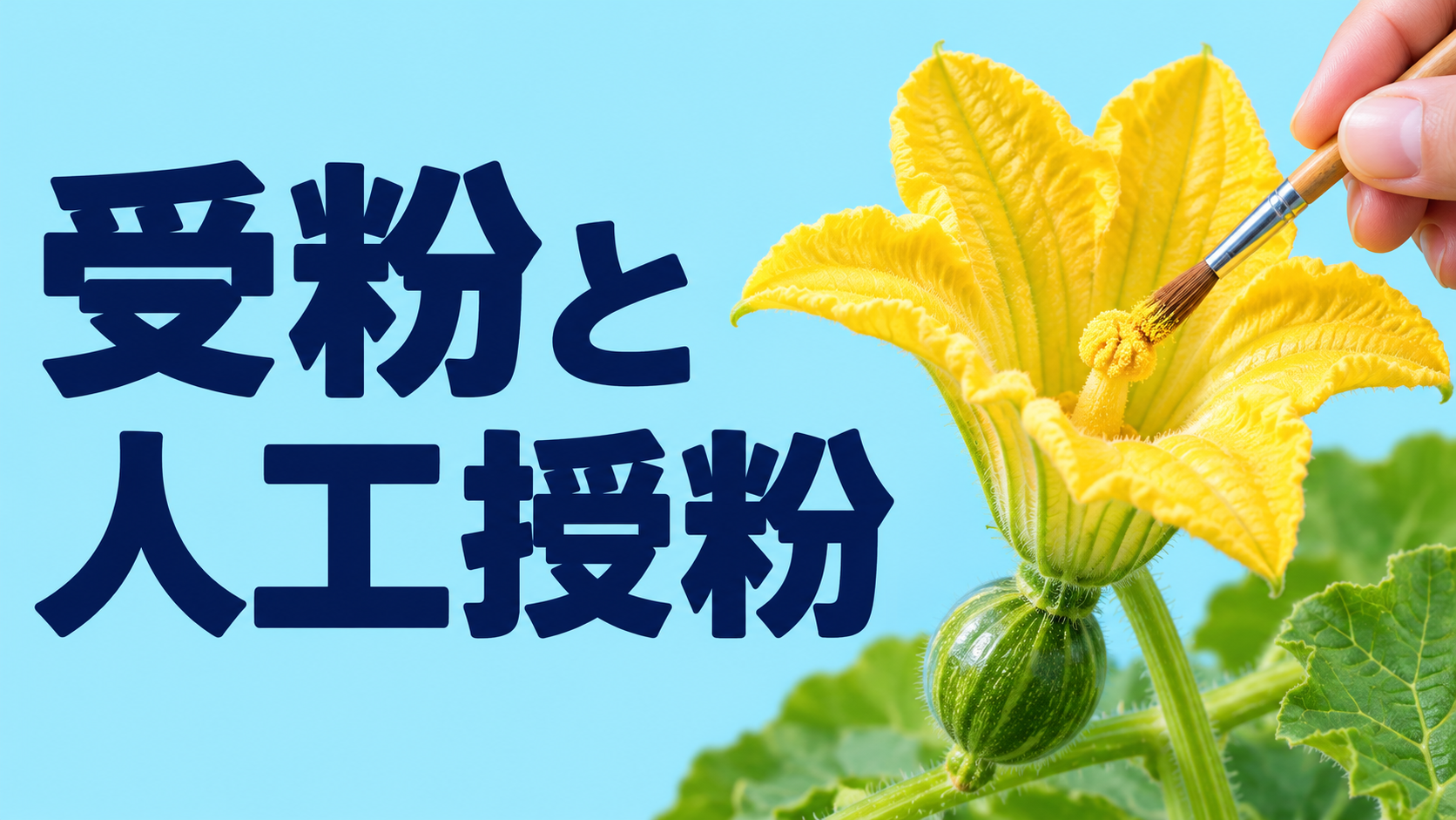 人工授粉のやり方と実がならない原因3つ【中学技術】受粉のしくみ